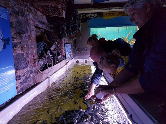 Lyme Regis Marine Aquarium